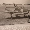 IMG 4389