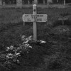MVRSKEEDEWEG02B